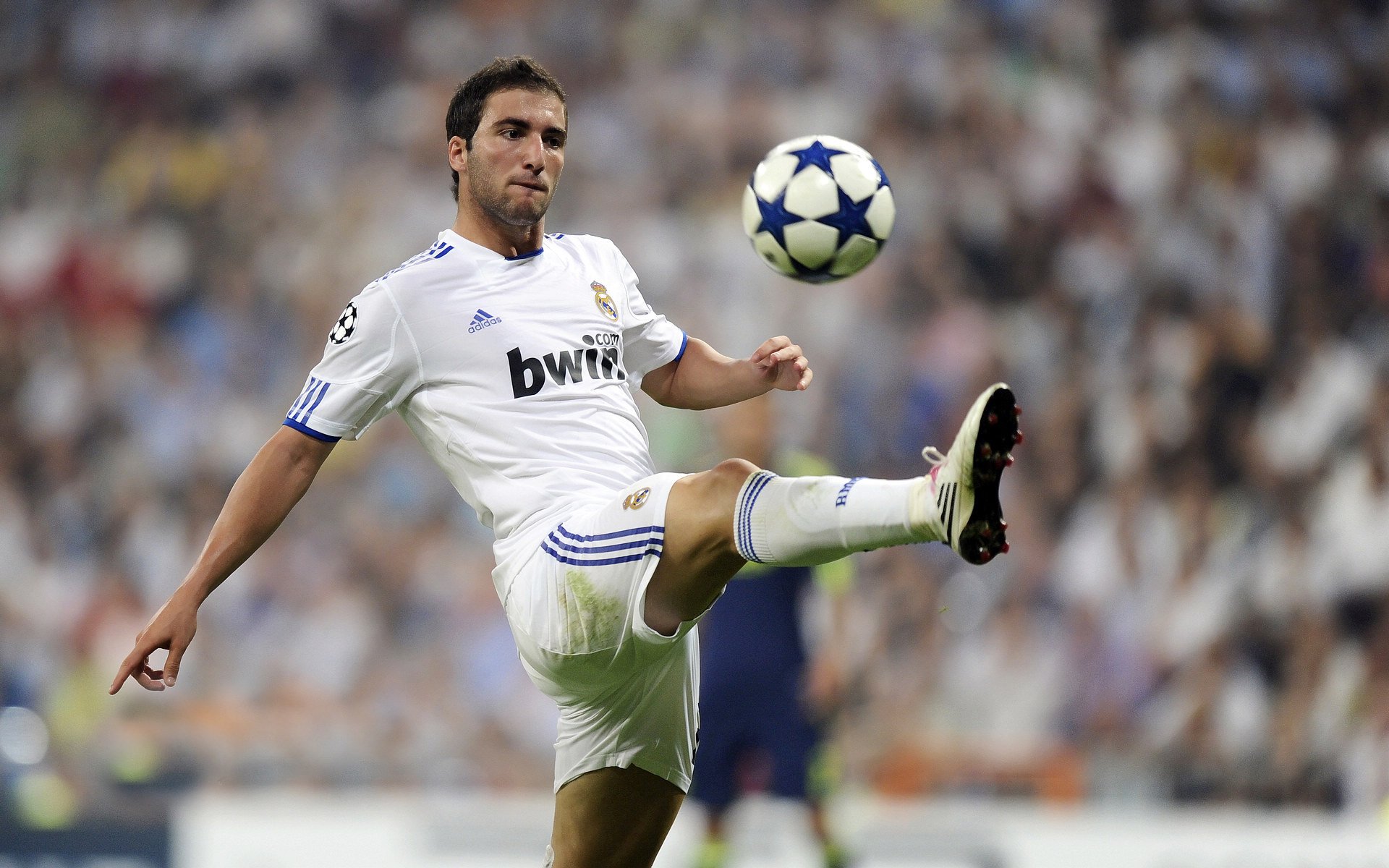 巴罗尼西首发身勇夸阔，帕多瓦球员赞赏实力，罗巴尼罗