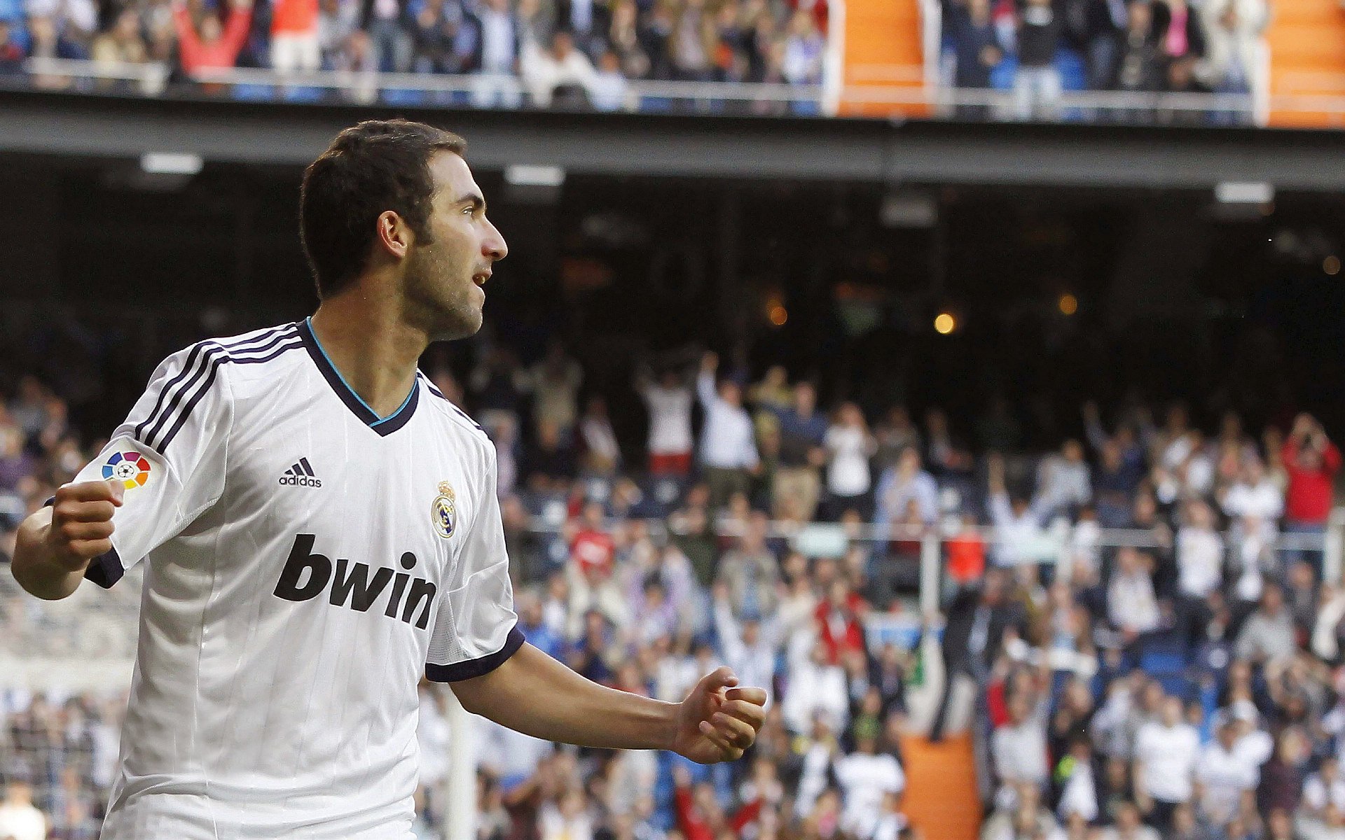 球迷狂欢：现场粉丝的应援和互动瞬间，球迷爱好者